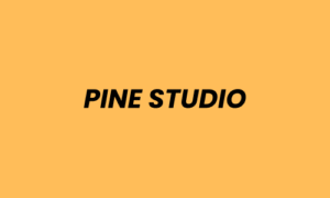 Lowongan Kerja Reels/TikTok Video Editor di PINE STUDIO - Surabaya