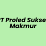 Lowongan Kerja Admin Accounting di PT Proled Sukses Makmur - Surabaya