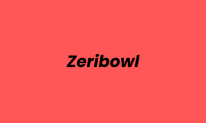 Lowongan Kerja Digital Marketing di Zeribowl - Surabaya