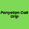 Lowongan Kerja Tukang Masak di Penyetan Cak Urip - Surabaya