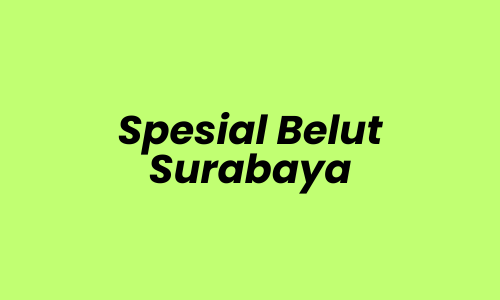 Cook/Kitchen Crew/Waiter Lowongan Kerja Cook/Kitchen Crew/Waiter di Spesial Belut Surabaya - Surabaya
