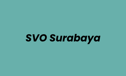 Lowongan Kerja Talent Video di SVO Surabaya - Surabaya