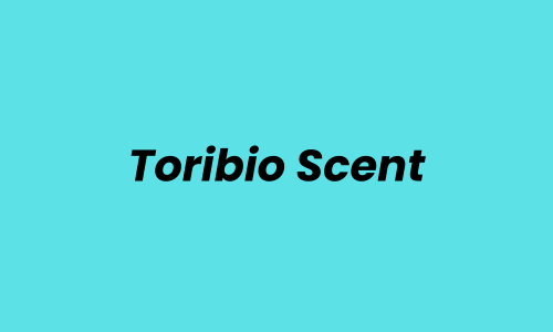Lowongan Kerja Sales di Toribio Scent
