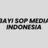 History Loker di BAYI SOP MEDIA INDONESIA Lowongan Kerja Teknisi di PT Airia Semesta - Surabaya